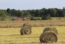 Ag barometer points toward tough times Baling hay