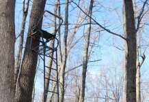 How to minimize the risks of using a tree stand