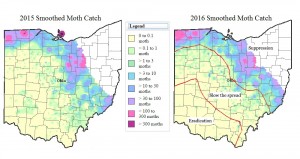 Moth catch map