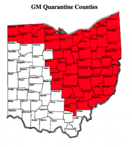 Ohio Gypsy Moth quarantine