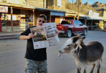 Vacation with us: The Keenes took us to Arizona