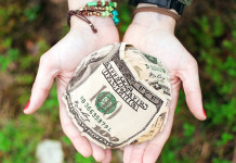 Thanksgiving up money