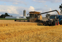 Say thanks to a farmer today wheat harvest