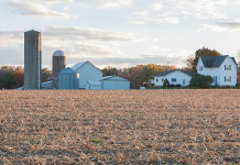 Say hello to grain market ‘Mover Monday’ rural farm scene fall