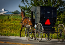 Growing up small-town proved invaluable for our ancestors