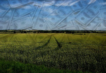 Build a fear-free farm budget for the New Year