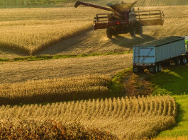 Fundamental changes have entered the market harvesting corn
