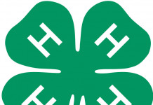 Roundup of 4-H news for Dec. 22, 2016