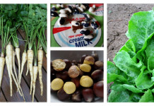 How to eat in-season, even in winter