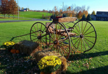 Restored 1880s wagon gains new life Buckboard restoration