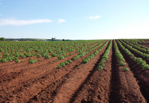 How to make conservation resolutions