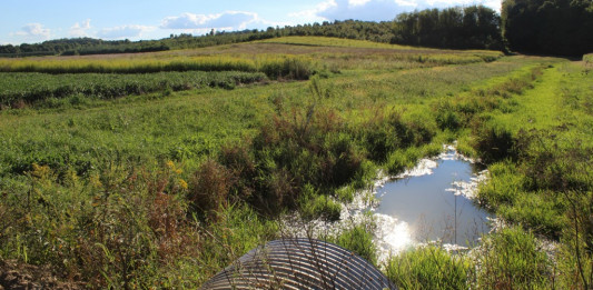 Yost files emergency action against Harrisville over wastewater failures drainage and waterway, WOTUS