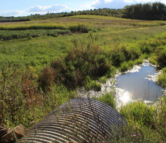 Yost files emergency action against Harrisville over wastewater failures drainage and waterway, WOTUS