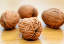 Nut growers’ workshop set