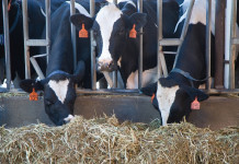 Will you make CHANGES in ’17?