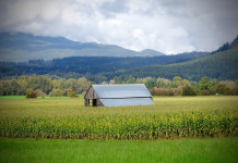 5 tips to recognize and deal with farm stress
