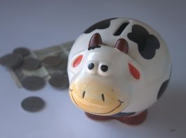 Ashtabula County offers multiple scholarships piggy bank