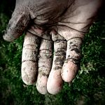 Certified Soil Technician certification offered