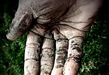 Certified Soil Technician certification offered