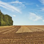 Is it time to till yourno-till field?