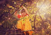 Climbing trees took courage, but the payoff was rewarding