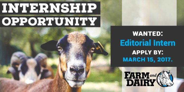 Farm and Dairy internship