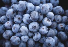 Producers vote to start blueberry checkoff