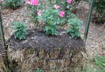 How to make a straw bale garden