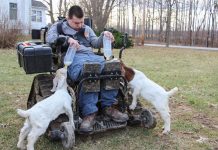 No stopping him now: Austin Yaworsky’s new track chair Austin Yaworsky's goats