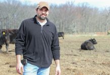 Young Ohio cattleman jumped into the beef industry JL Draganic with cattle