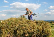 Professor, farmer to speak at breakfast