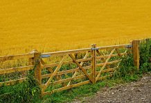 Pa. farmers travel to D.C. to discuss ag issues