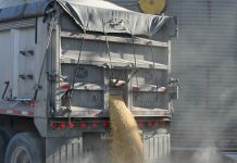 Grain prices are consistent, but cheap Grain delivery