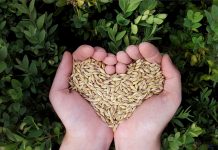 Dietitians to tackle food myths at summit heart