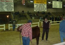 Project raises funds for Ohio State Dairy Judging Program 2007 Ohio Beef Expo John Grimes