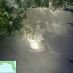 After Deepwater Horizon spill, scientists focus on food web Deepwater Horizon spill