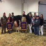 Calf tops Pa. Holstein sale at $20,200
