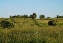 Tips for managing CRP land