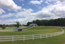 Warm weather signals warm season grasses pasture