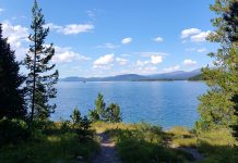 Questions to ask before signing up for camp