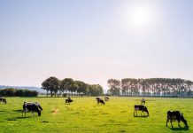 Dairy Farmers of America holds annual meeting