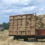 Certified weed-free forage and mulch Noxious Weed Free Forage and Mulch