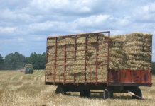 Certified weed-free forage and mulch Noxious Weed Free Forage and Mulch