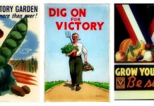 Master gardeners grow interest in home gardening victory garden banner