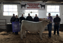 Ashtabula Co. reports steer and heifer show results