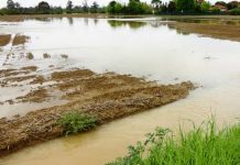 Replanting or are your fields still too wet to plant? Plant17 flooded field in Ohio