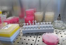 Borca named Distinguished Senior Research Scientist of the Year laboratory