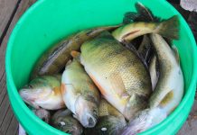 Bass angler clinic and top lake picks