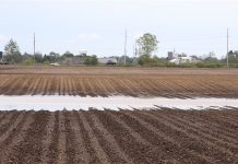 Spring planting could finally be on a roll flooded field
