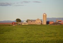 Agriculture’s greatest innovation